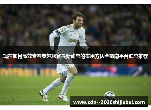 现在如何高效查看英超联赛最新动态的实用方法全指南平台汇总推荐 现在如何高效查看英超联赛最新动态的实用方法全指南平台汇总推荐