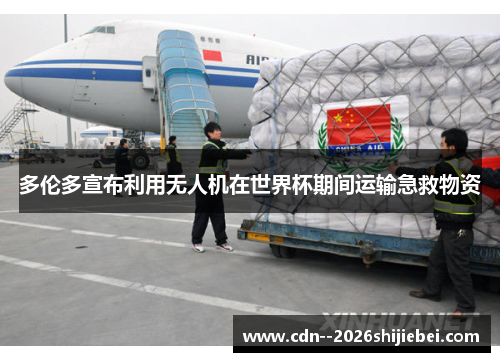 多伦多宣布利用无人机在世界杯期间运输急救物资